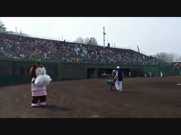 踊るみやざき犬むぅちゃん.mp4