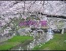 【エルシャダイ】シャダラノ雨【桜ノ雨替え歌】