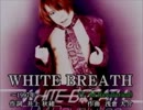 【風が強いので】whitebreath【歌ってみた】