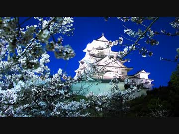 春の夜桜の映像(ジャズアレンジver)