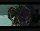 【ﾉｰﾌｭｰﾁｬｰ実況】コードベロニカ【28回目】
