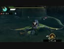 【MHP3】彩鳥クルペッコの狩猟！