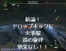 【MHF】ドロップキックDEナナ　火事場編