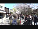 【京都祇園】てんかん衝突事故の瞬間【衝撃音】