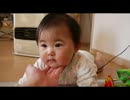 娘っこのかくれんぼ