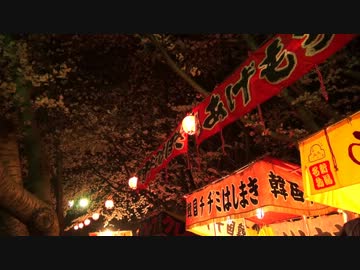 酒津夜桜 Sakadu Night Cherry 2012