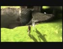 【酔ってなんか】男2人でICOやってイコー　part5【ない】