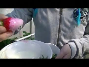 放課後ですよ～イチゴ狩り編～　えぴそーど２