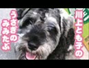 とも蔵のみみたぶ 2006/10/10 #416