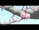 【歌ってみた】　春に一番近い街　【再うｐ：アキ】