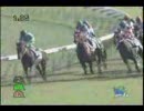 （競馬）サダムイダテン　新馬戦