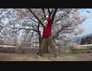 【桜の木の下で】千本桜踊ってみたリベンジ【砂漣】