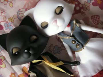 ニャン生は一度きりなにゃんこ服作ってみた。