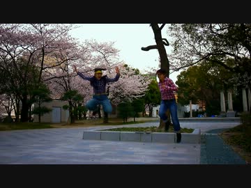 【福岡】桜が咲いたからSpring Showerを踊ってみた【DOF団】