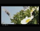 「春に一番近い街」歌ってみた【たっち】