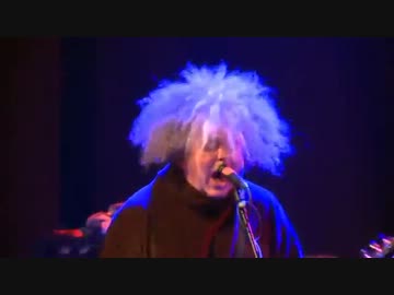 Melvins - A Talking Horse