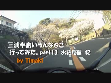 三浦半島いろんなとこ行ってみた。その13　お花見編　桜