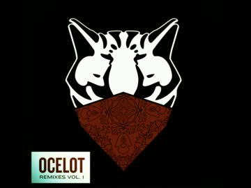 OcelotのOur timeのRemixだけのMIX