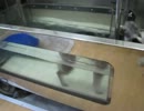 2012-04-07　水中トレッドミル