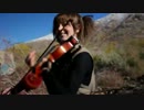 Lindsey Stirling - Electric Daisy Violin