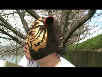 地層弁当　お花見Ver 20012