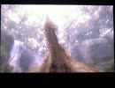 【MH3G】とことこ実況　弓を担いでまったりと　part10
