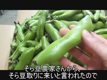 【そら豆農家に感謝】そら豆で７品作ってみた。