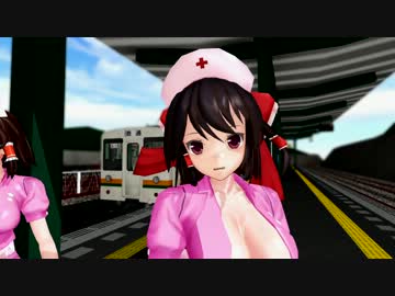 【非公開設定】テスト動画その３霊夢vs霊夢