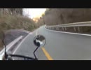 道志周辺嘗め回し２