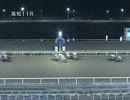 セニョールベストの310戦目(2012年4月15日高知競馬第11レース)