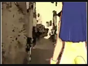 ペールブラウンケンネルクラブ