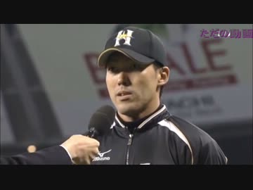 多田野、猫野郎共をねじ伏せ三年ぶりに勝利す[2012.4.16]