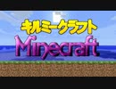 【実況】 中略 Minecraft ：９€ 【ver1.2.5】