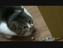 うーちゃんアタック集