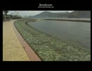 鳴門市　岡崎海岸から　生放送抜粋