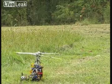 ラジコンヘリでスズメバチを落としていく