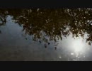 【再投稿】 ささいなこと (off vocal) 【ニコカラ】