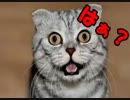 [実況]ダークソウルをやろう 其の10