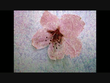 【音楽と言葉】花の名前【オリジナル】