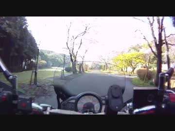 ビットレート テスト