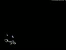 テスト動画
