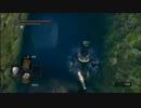 【ダークソウル】猫神の竜人冒険記その６