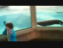 子供を追いかけるカワウソ
