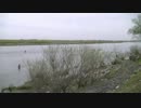 2012.4.13　利根大堰、埼玉県側の様子。