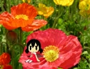 体験版の歌愛ユキちゃんが来たので喋らせてみた