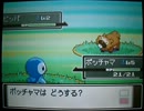 【第3話】ポケモンPt虫タイプのみ実況【先輩とのレッスン】