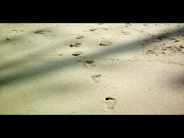 だれかのあしあと　～アコースティックVersion～