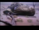 【MH3G】とことこ実況　弓を担いでまったりと　part13