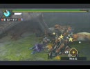 【投稿第３回】村☆６　天と地の領域　両捕獲TA【MHP3】
