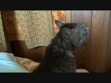 部屋に何かいる訳だが・・・